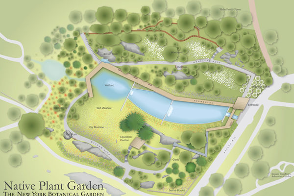 Fresh image 1 from Fresh Project: New York Botanical Garden