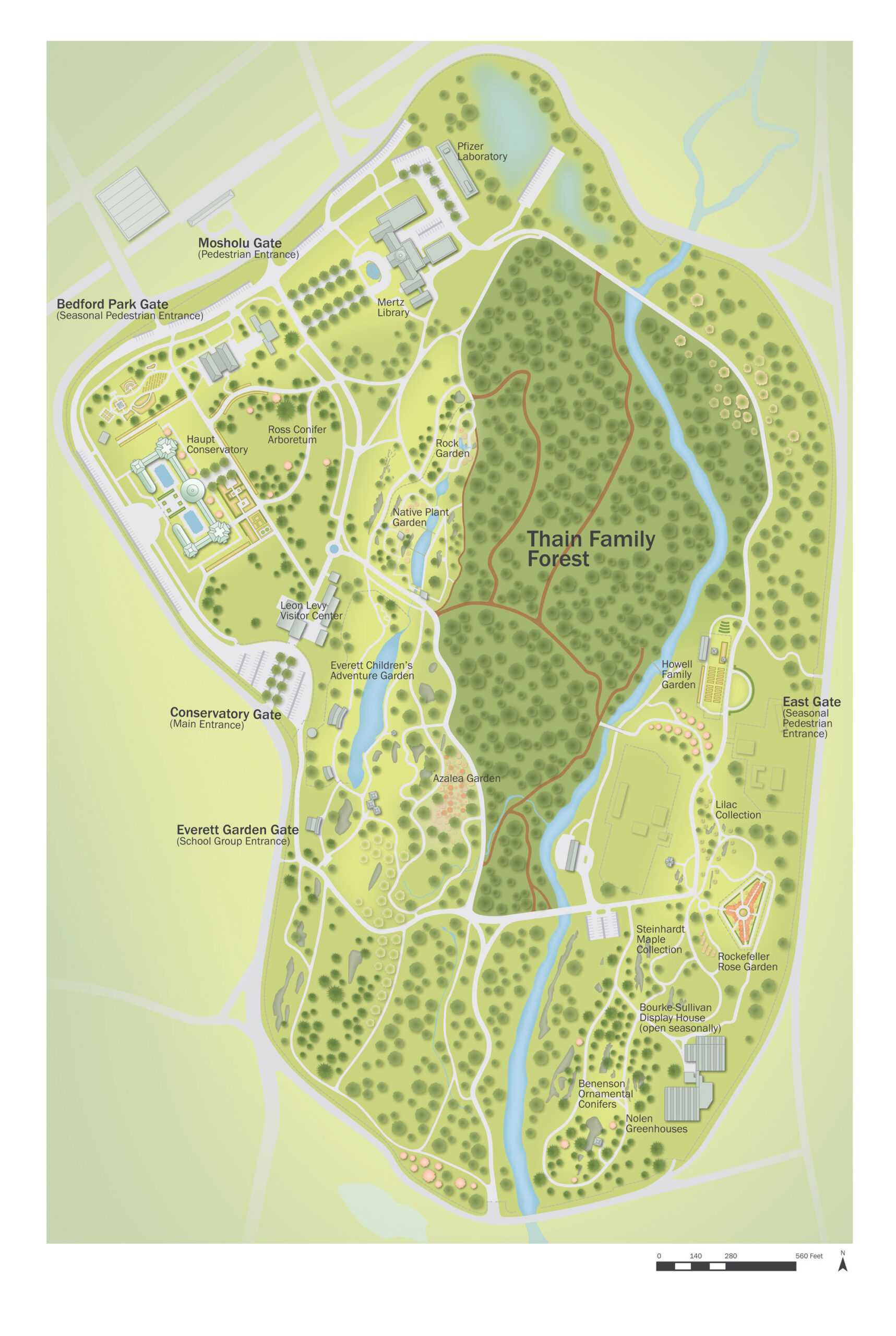 Fresh Project: Mapping New York City's Oldest Forest at NYBG - C&G Partners